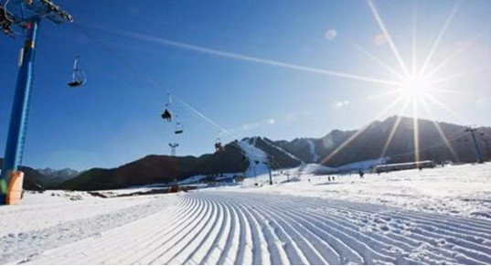 尊龙凯时 - 人生就是搏!